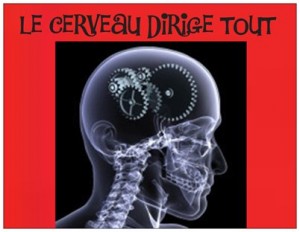 decodage biologique 15