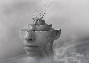 decodage biologique18