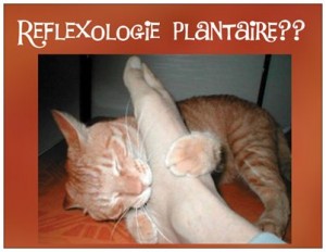 problème-de-vue-8-300x232