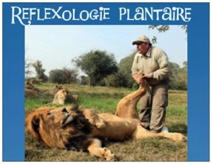 problème-de-vue8-300x232