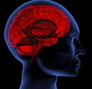 apprendre-à-se-défendre10-300x292