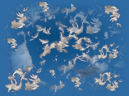 therapie-quantique-11