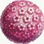 biologique et cancer de l'utérus5